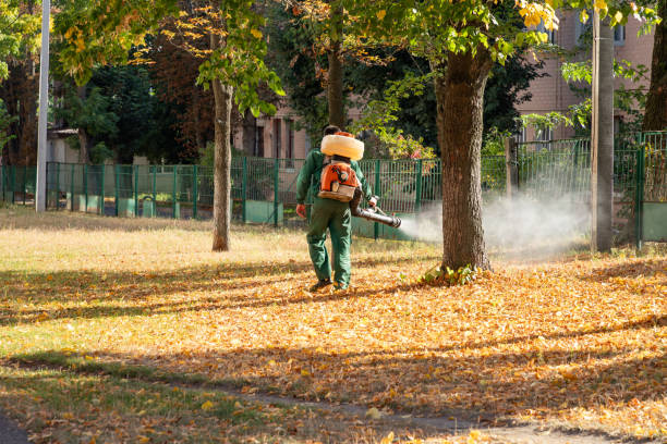 Best Pest Control for Businesses  in USA